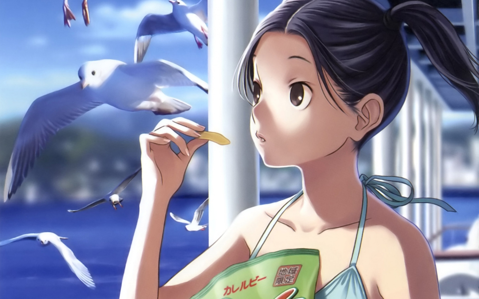 Картинки Kobayakawa rinko, love plus, девушка, брюнетка, чайка, чипсы фото и обои на рабочий стол