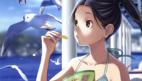 Kobayakawa rinko, love plus, девушка, брюнетка, чайка, чипсы