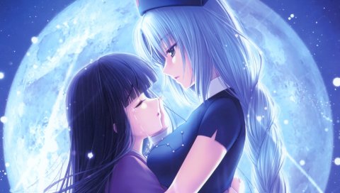 Коллекция touhou, девушки, слезы, луна