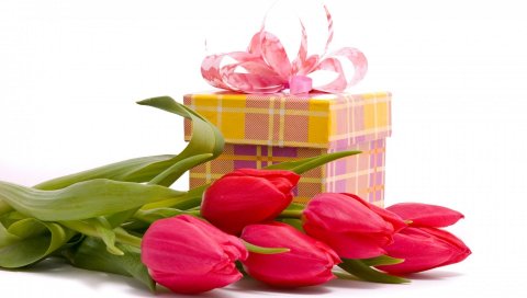 Тюльпаны, цветы, букеты, подарки