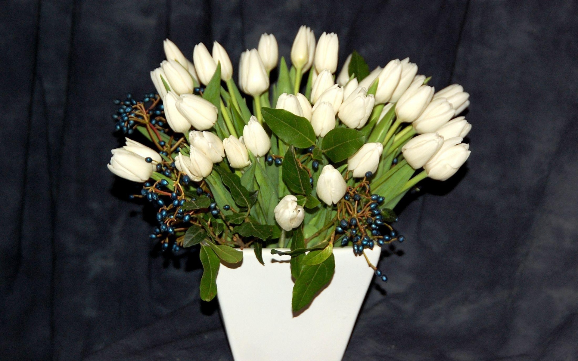 Картинки Тюльпаны, белые, цветы, ягоды, состав, горшки фото и обои на рабочий стол