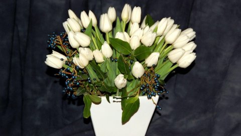 Тюльпаны, белые, цветы, ягоды, состав, горшки