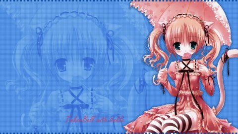 Девушка neko, девушка, сладкий, зонтик
