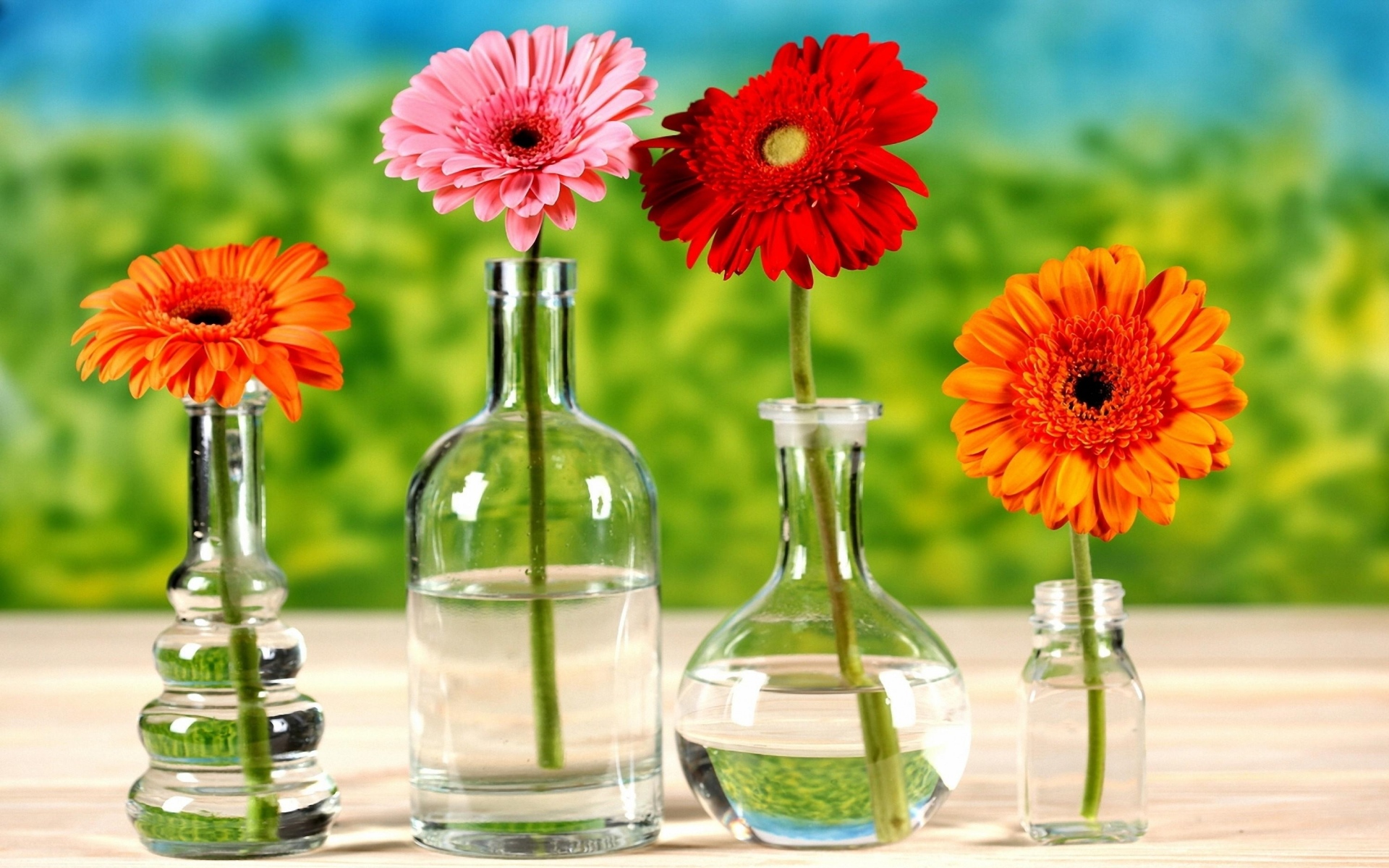 Картинки Гербера, цветы, яркие, вазы, вода, линия, зеленый фото и обои на рабочий стол