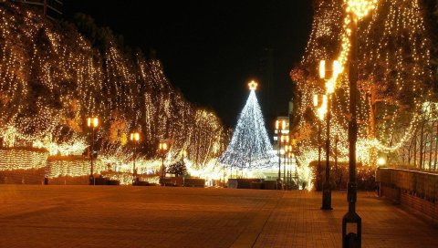 Дерево, гирлянды, улица, огни, красота