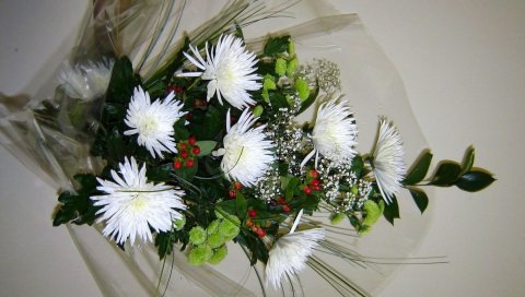 Хризантемы, цветы, гипсофила, букет, обертка