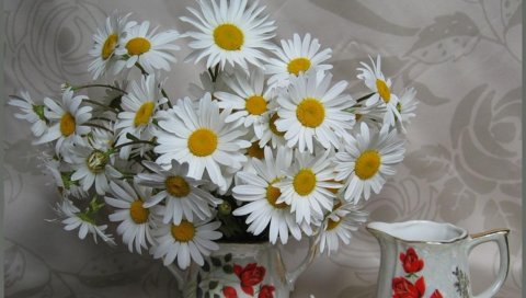 Ромашки, цветы, букет, белый, ваза