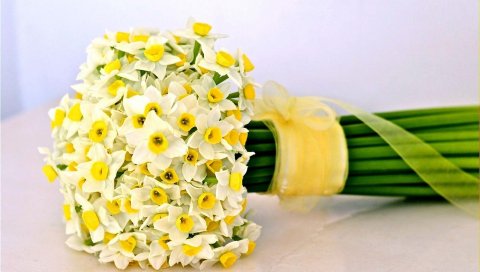 Нарциссы, цветы, цветок, лента, лук
