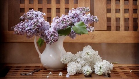 Сирень, веточки, кувшин, скамейка, ножницы