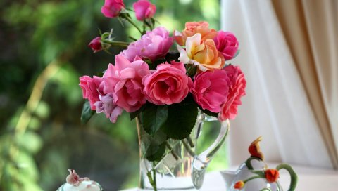 Розы, цветы, сад, кружка, стол