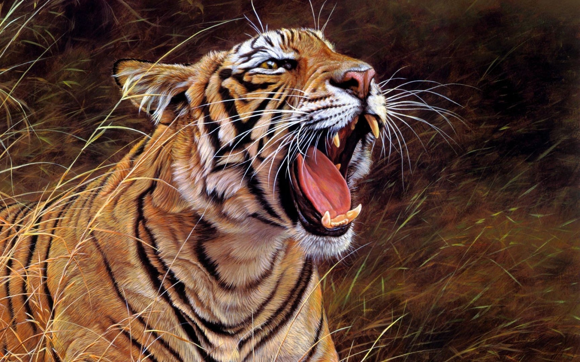 Картинки Тигр, большой кот, зубы, полосатый, гнев фото и обои на рабочий стол