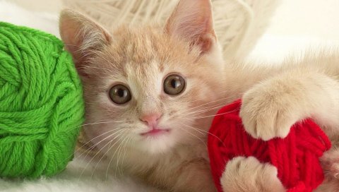 Котенок, мяч, игривый, малыш