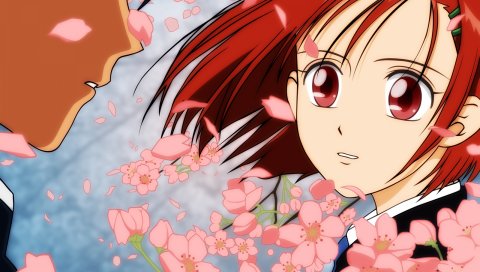 Kare kano, arima soichirou, miyazawa yukino, karekano, мальчик, девушка, цветы