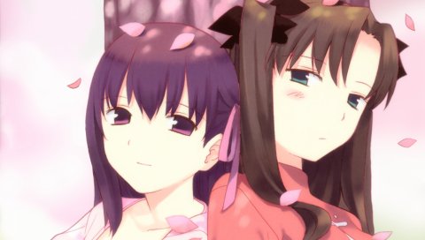Судьбы ночь пребывания, toosaka rin, matou sakura, девушки, деревья, лепестки