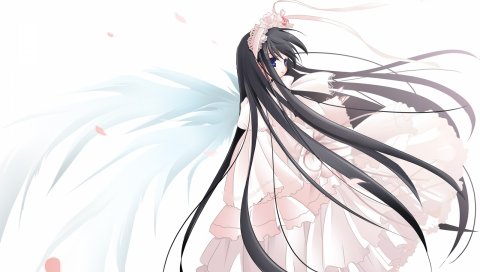 Natsume eri, мягкая красота, девушка, брюнетка, крылья, платье