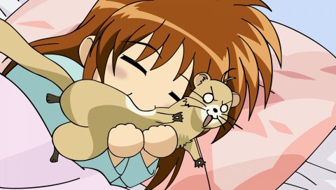Mahou shoujo лирическая nanoha, takamachi nanoha, девушка, укус, животное, сон