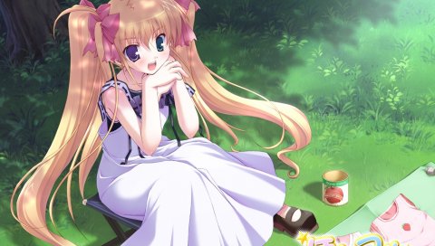 Ikegami akane, hoshiful, hoshikawa ruka, девушка, блондинка, пикник