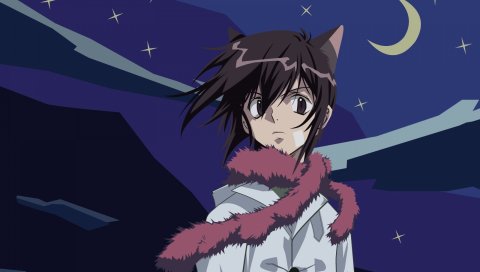 Без любви, aoyagi ritsuka, девушка, кошка, луна, звезды, ночь