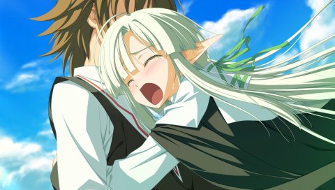 Shida kazuhiro, wiz anniversary, ruruguno janus enfinus, девушка, эльф, уши, слезы