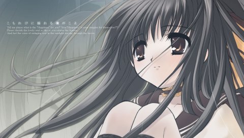 Komorebi ni yureru tamashii no koe, девушка, брюнетка, колени