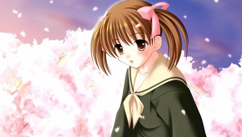 Fukuzawa yumi, девушка, милые, лепестки