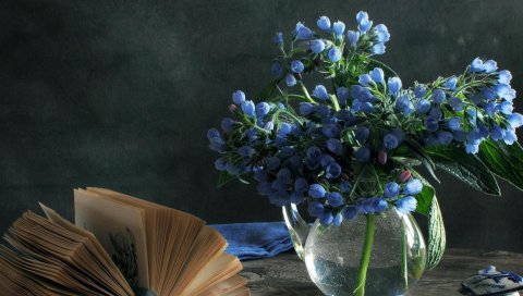 Цветы, букеты, ваза, книга, коробка