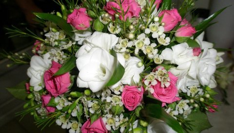 Роза, чайное дерево, цветы, букеты, зелень, композиция