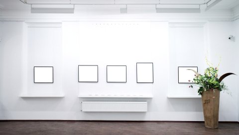Комната, стена, ваза, стиль