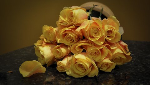 Розы, цветы, букет, ложь, лепесток
