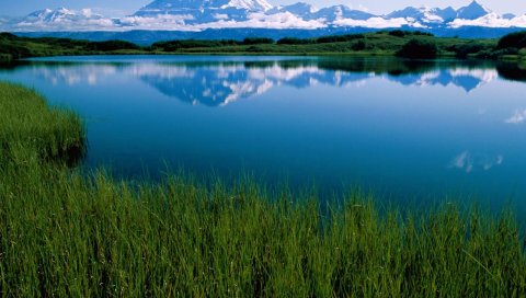 Озеро Маккинлис, гора, растительность, аляска