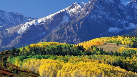 Гора sneffels, колорадо, дерево, горы, осень