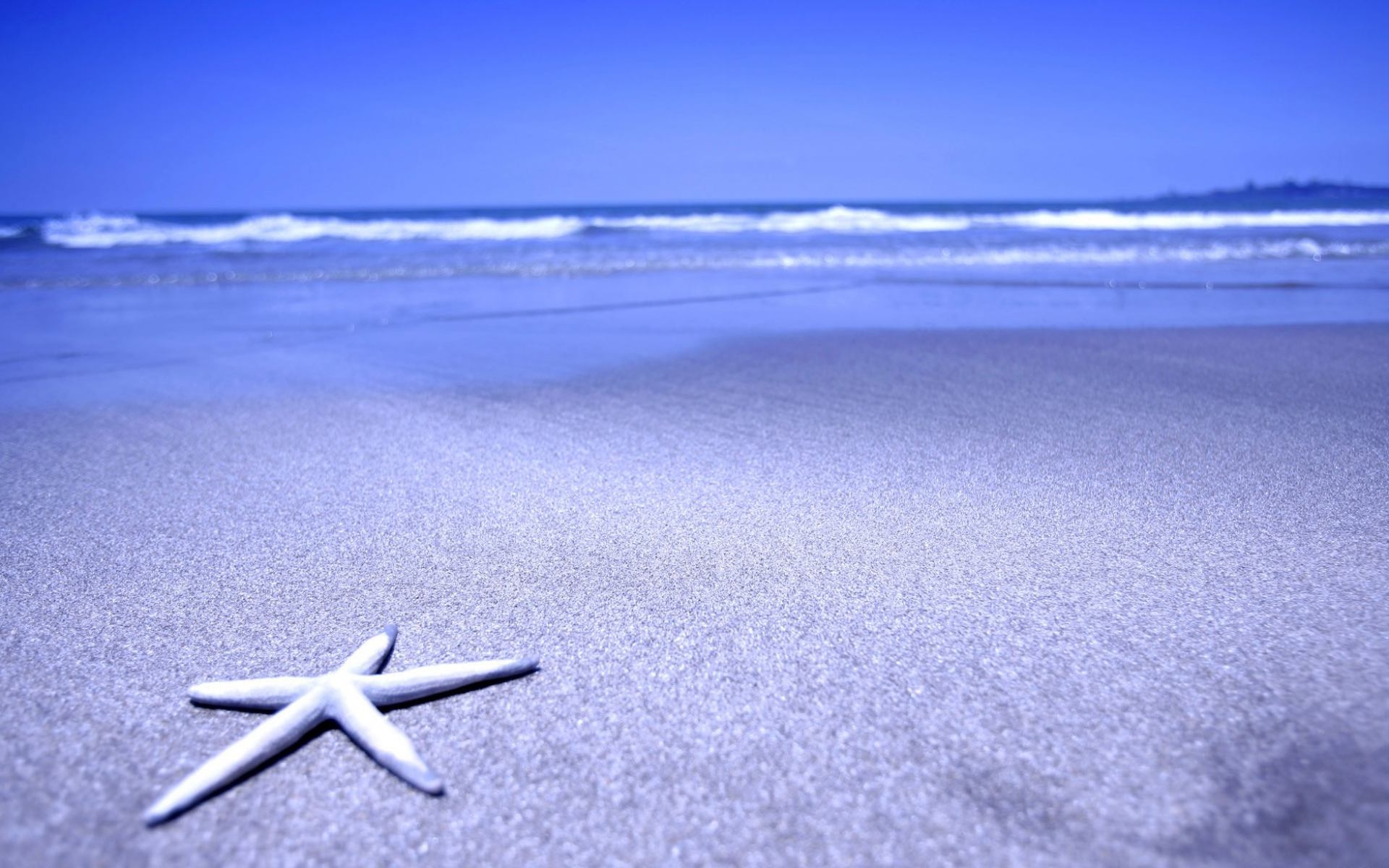 Картинки Морская звезда, пляж, песок, море фото и обои на рабочий стол