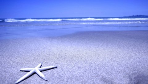 Морская звезда, пляж, песок, море