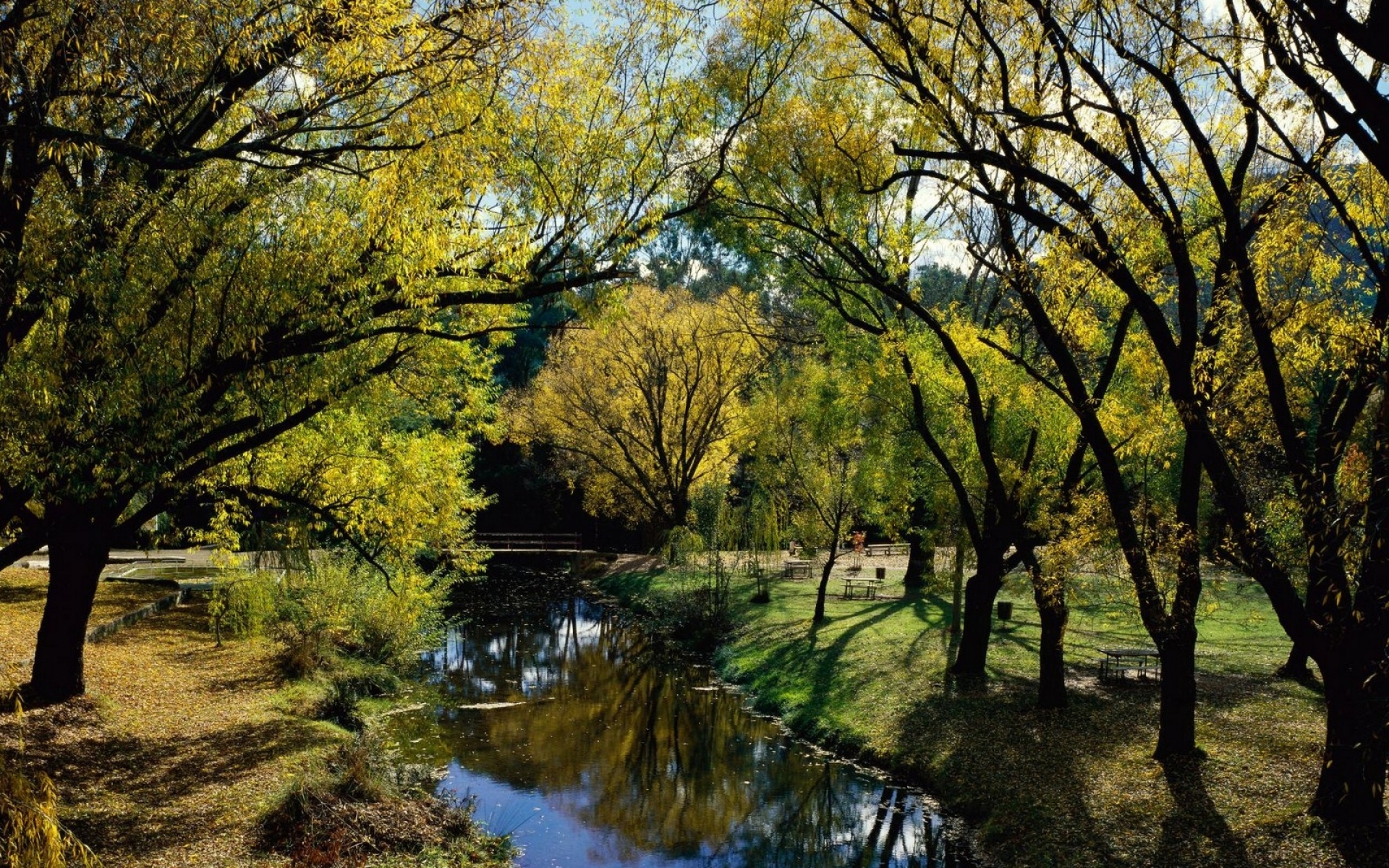 Картинки Парк, отдых, река, деревья, осень, австралия фото и обои на рабочий стол