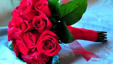Розы, цветы, букеты, зелень, украшение