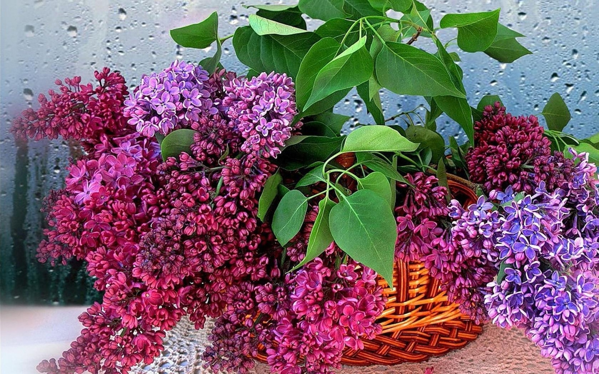 Картинки Сирень, цветы, ветки, травы, цветок, корзина, капли, стекло фото и обои на рабочий стол