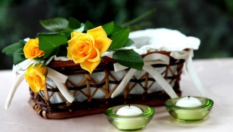Роза, желтый, цветы, корзина, свечи, листья