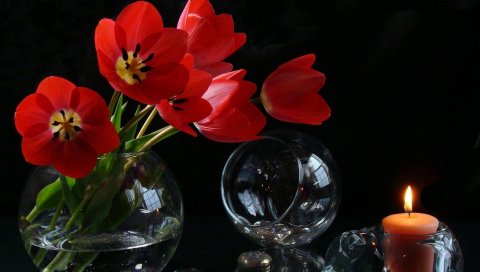 Тюльпаны, сыпучие, цветы, ваза, свеча, огонь