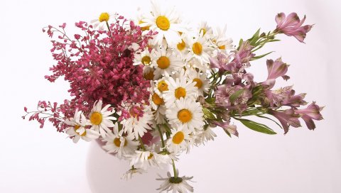 Маргаритки, альстромерия, цветы, букет, ваза, композиция
