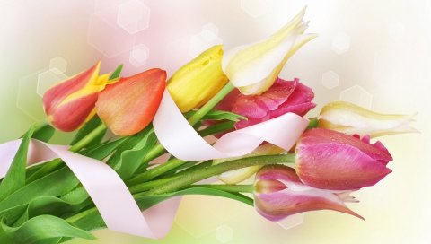 Тюльпаны, цветы, букет, калий, свежесть, лента, мигание