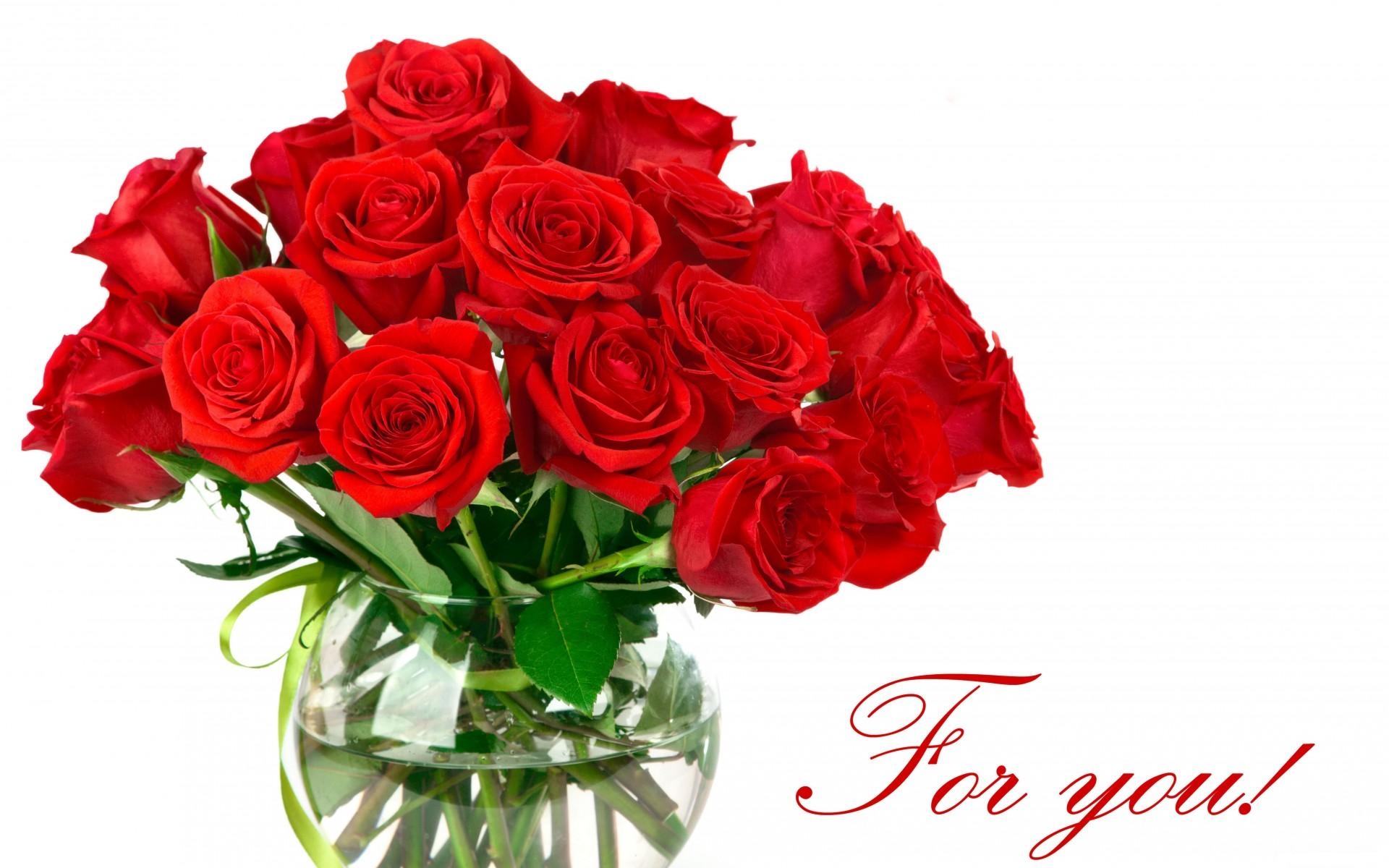Картинки Розы, цветы, букет, яркий, красный, белый фон, надпись, ваза фото и обои на рабочий стол