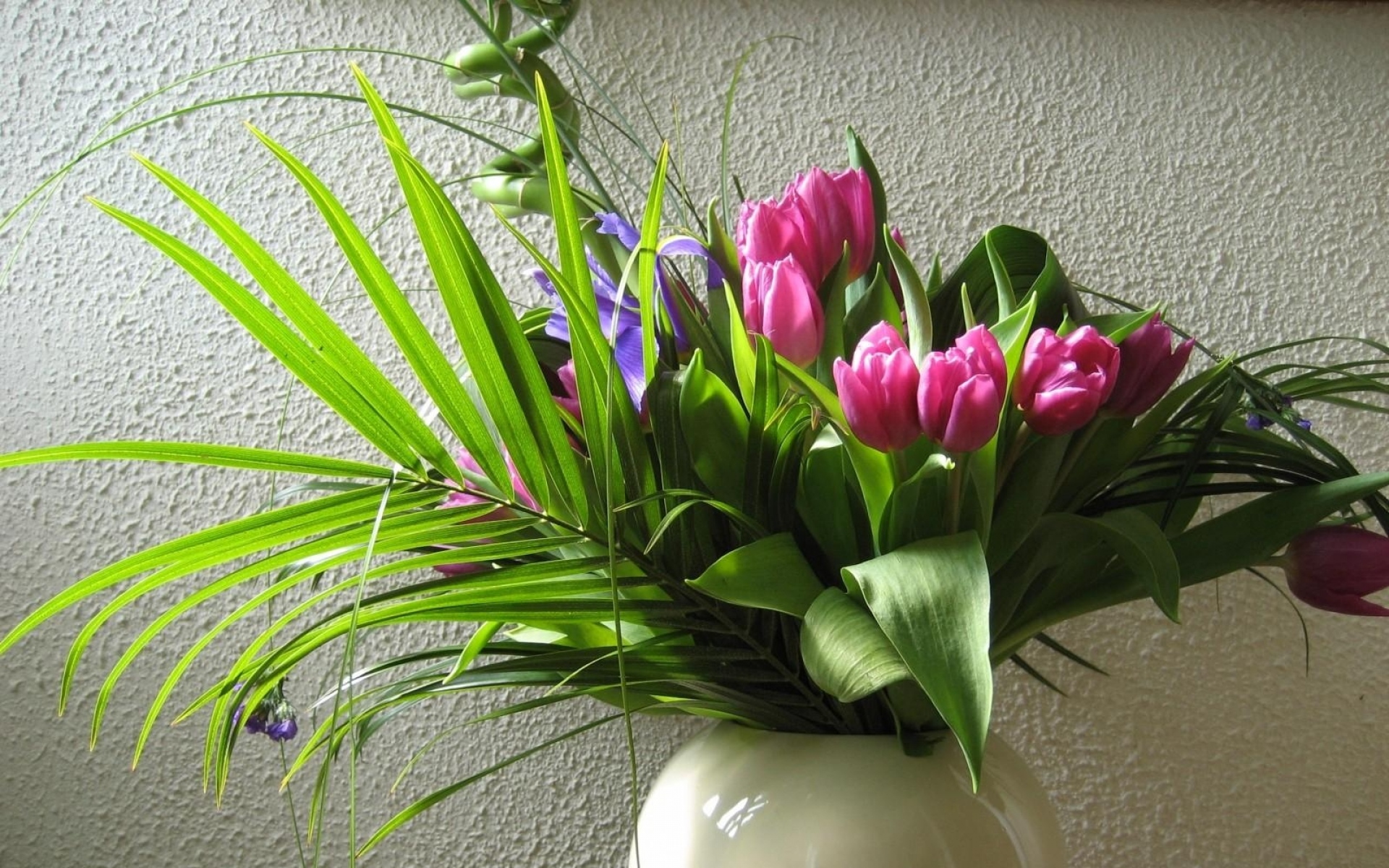Картинки Тюльпаны, цветы, цветы, листья, зелень, ваза, стена фото и обои на рабочий стол