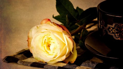 Роза, цветок, желтый, ложь, салфетка, чайная пара