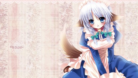 Izayoi sakuya, девушка, уши, хвост, dres