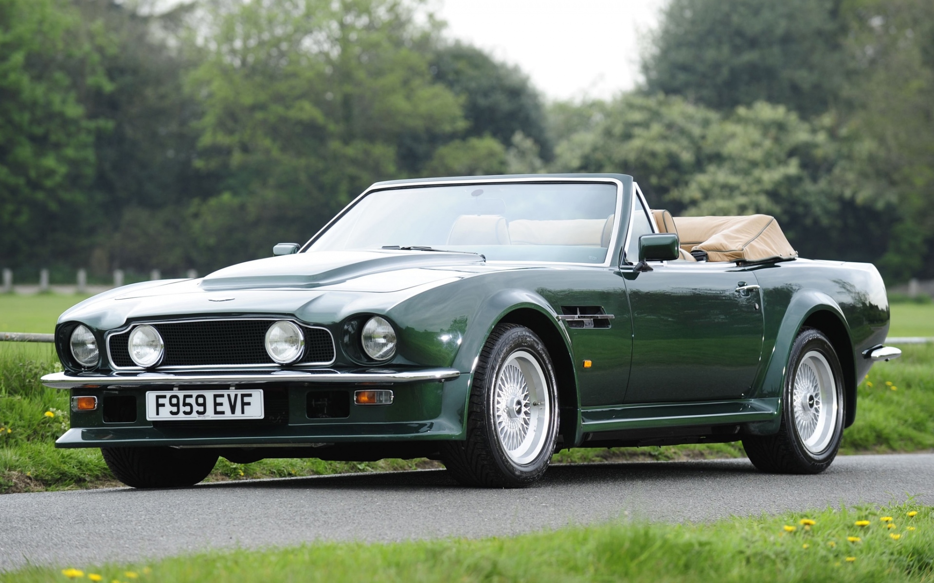 Картинки Aston martin, v8, vantage, 1984, зеленый, вид сбоку, кабриолет, деревья фото и обои на рабочий стол