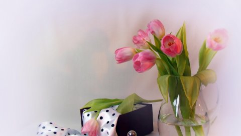 Тюльпаны, цветы, кувшин, парфюмерия, шарфы, ящик