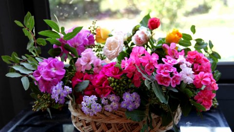 Розы, цветы, разные, много, сад, шоппинг, композиция