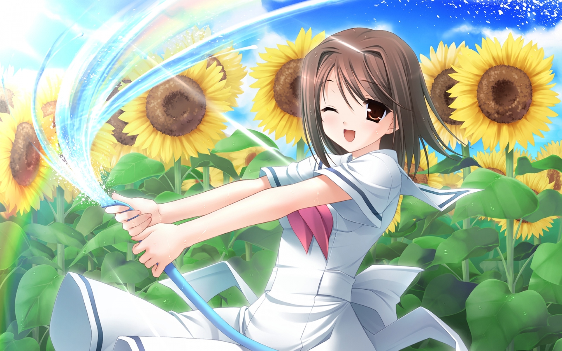 Картинки Kanekiyo miwa, amesarasa, seifuku, sanbongi yuki, девушка, подсолнечник, шланг, вода фото и обои на рабочий стол