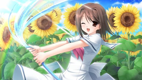 Kanekiyo miwa, amesarasa, seifuku, sanbongi yuki, девушка, подсолнечник, шланг, вода