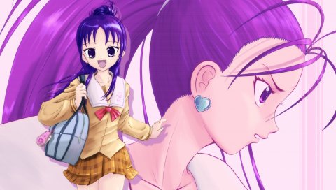 Futari wa довольно вылечить звезду всплеска, блок, девушка, юбка, сумка